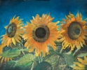 gal/fineart/Still life/_thb_Sunflowers (30x24) (1).jpg